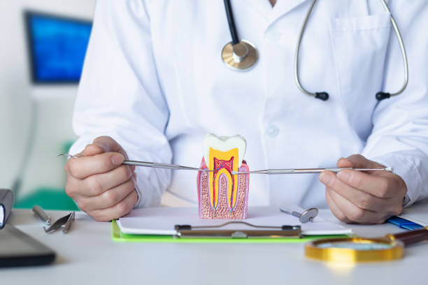 Best Pediatric Emergency Dentist in Exmore, VA